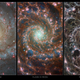 The spiral galaxy seen in different wavelengths represented in different colors.